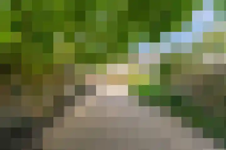 Hoge Rijndijk 146 Leiden thumbnail 25