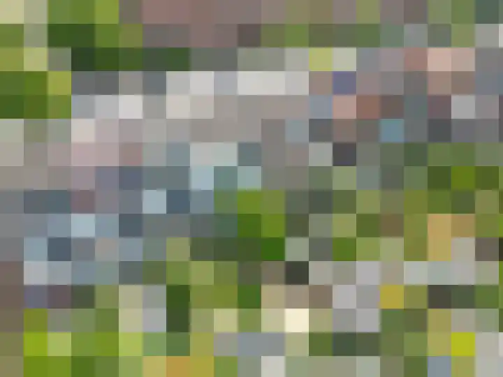 Hoge Rijndijk 146 Leiden thumbnail 31