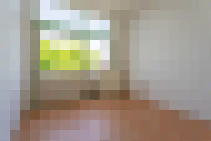 Hoge Rijndijk 146 Leiden thumbnail 9