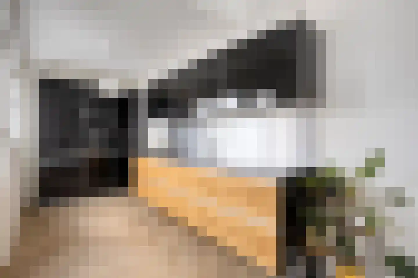 Hoge Rijndijk 160 A Leiden thumbnail 21