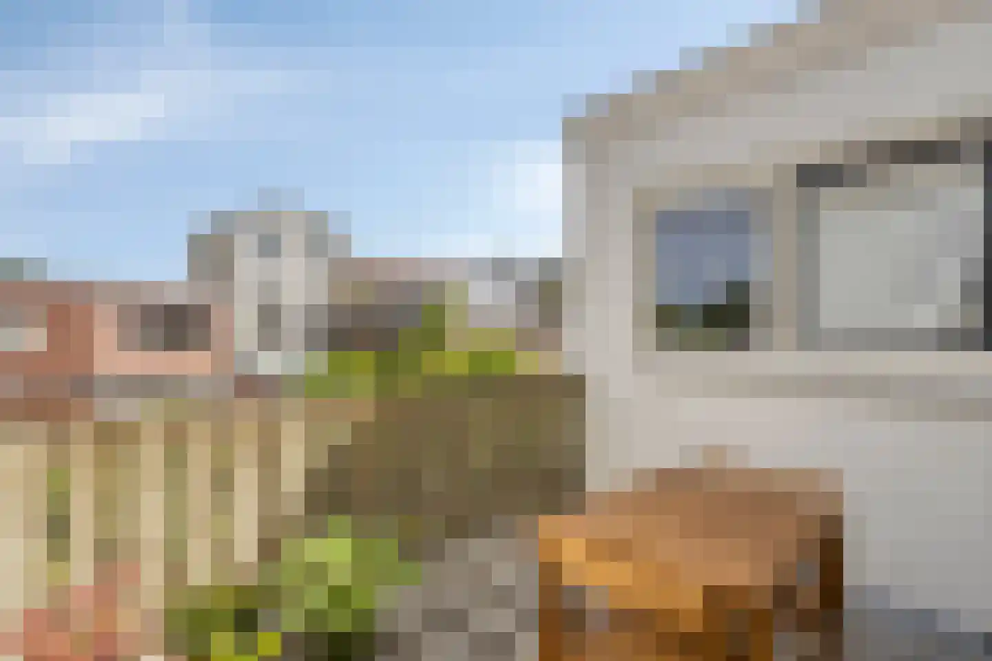 Hoge Rijndijk 160 A Leiden thumbnail 27