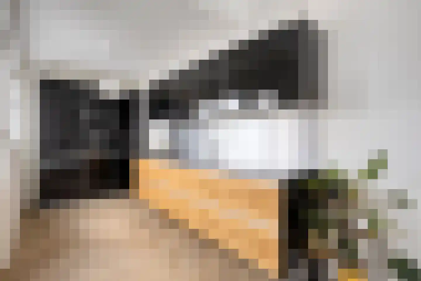 Hoge Rijndijk 160 A Leiden thumbnail 4