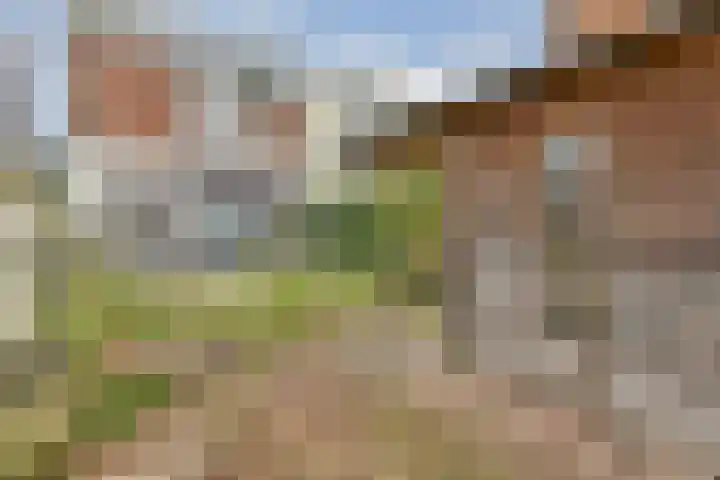 Hoge Rijndijk 164 Leiden thumbnail 10