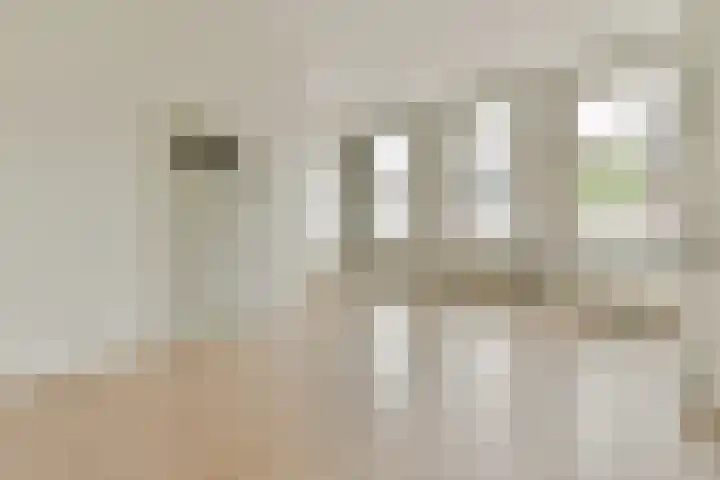 Hoge Rijndijk 164 Leiden thumbnail 14