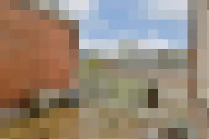 Hoge Rijndijk 164 Leiden thumbnail 18