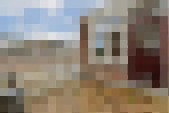 Hoge Rijndijk 164 Leiden thumbnail 19