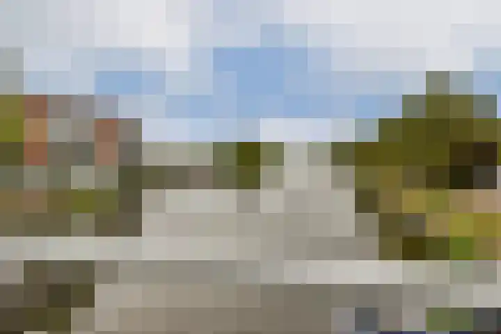 Hoge Rijndijk 164 Leiden thumbnail 35