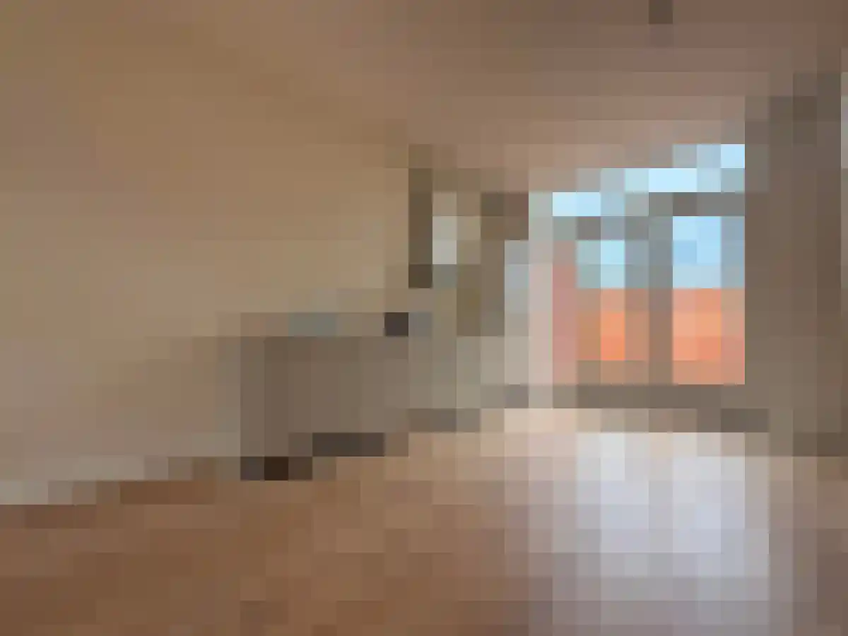Hoge Rijndijk 164 Leiden thumbnail 5