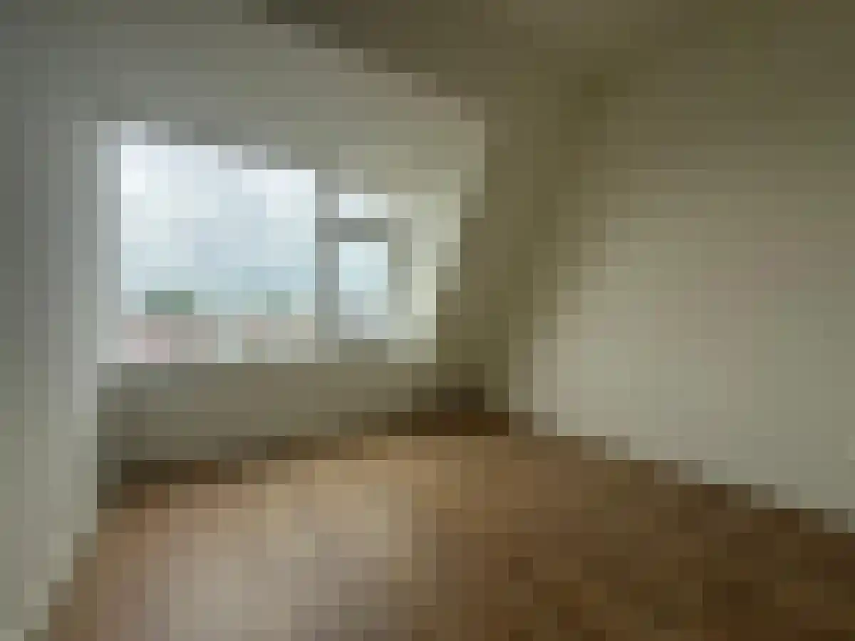 Hoge Rijndijk 164 Leiden thumbnail 5