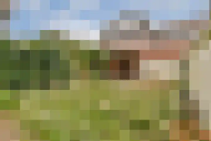 Hoge Rijndijk 164 Leiden thumbnail 9