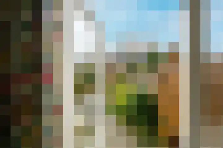 Hoge Rijndijk 173 Leiden thumbnail 19