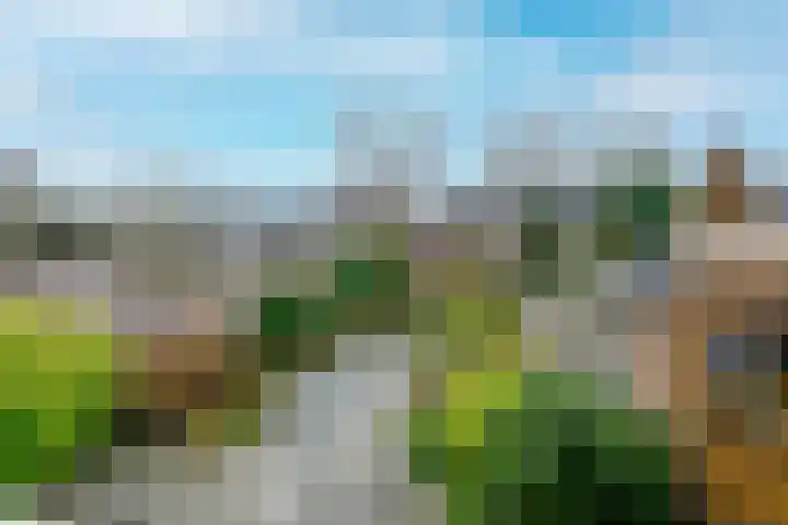 Hoge Rijndijk 173 Leiden thumbnail 20