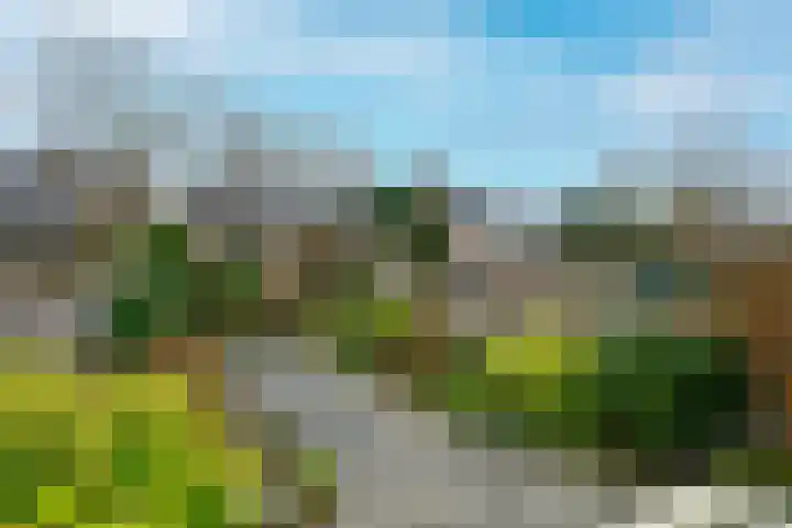 Hoge Rijndijk 173 Leiden thumbnail 21