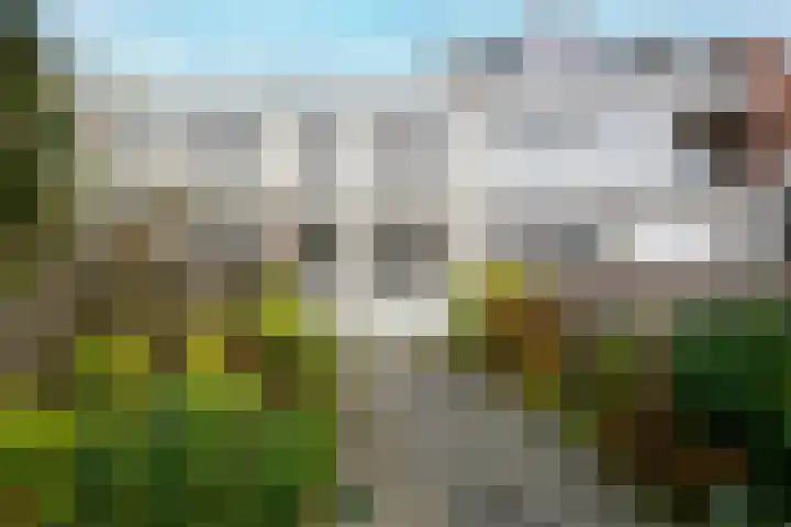 Hoge Rijndijk 173 Leiden thumbnail 23