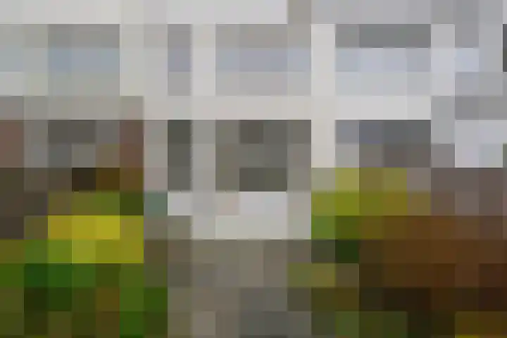 Hoge Rijndijk 173 Leiden thumbnail 24