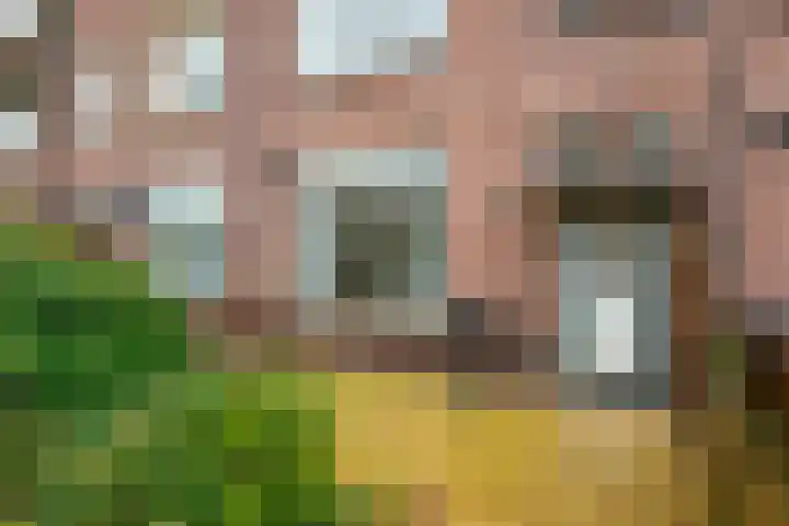 Hoge Rijndijk 173 Leiden thumbnail 4