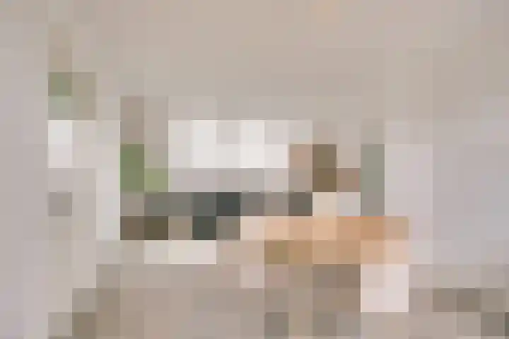Hoge Rijndijk 176 B Leiden thumbnail 7