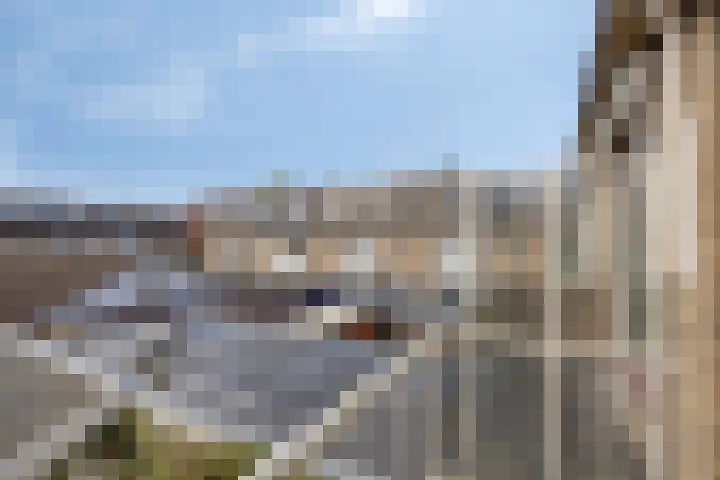Hoge Rijndijk 191 Zoeterwoude thumbnail 23