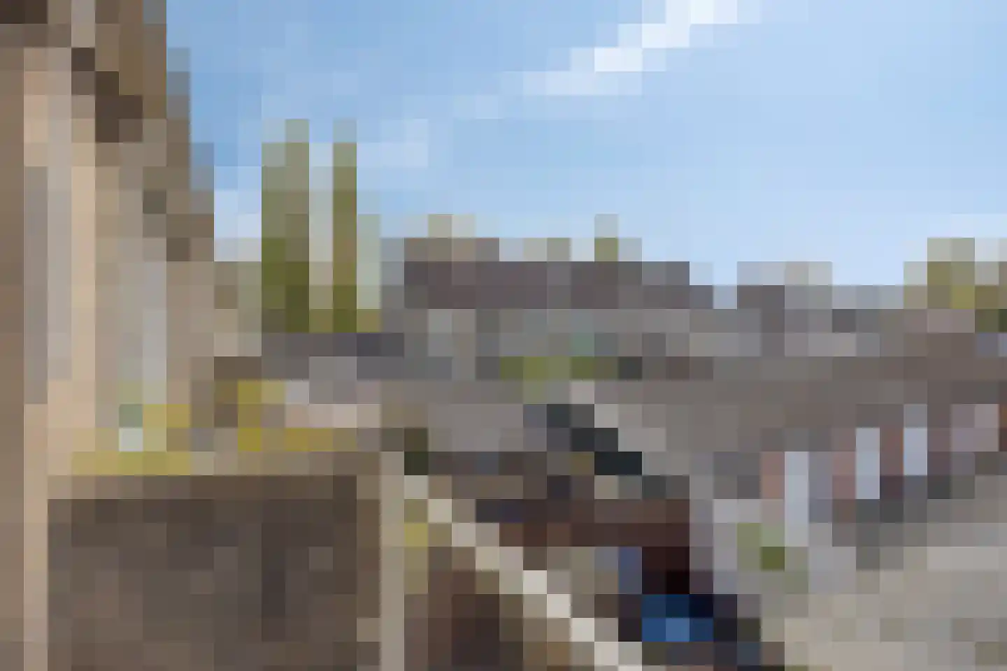 Hoge Rijndijk 191 Zoeterwoude thumbnail 24