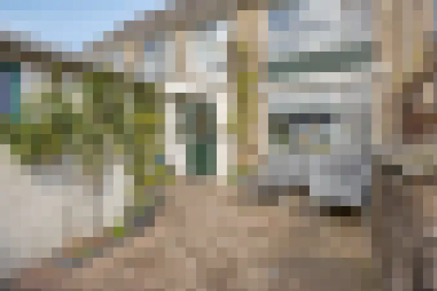 Hoge Rijndijk 191 Zoeterwoude thumbnail 32