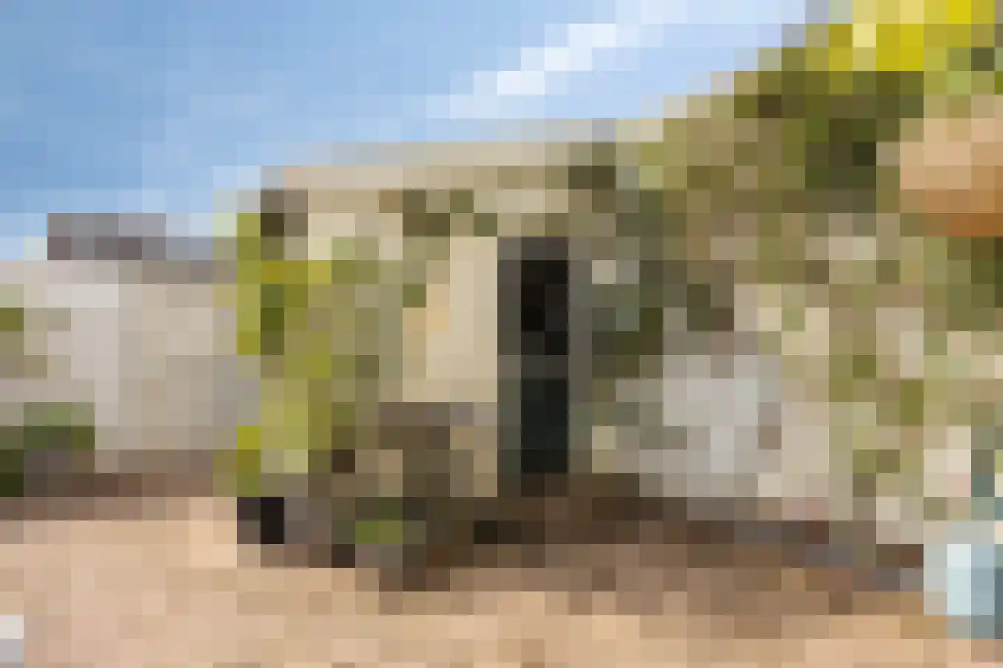 Hoge Rijndijk 191 Zoeterwoude thumbnail 34