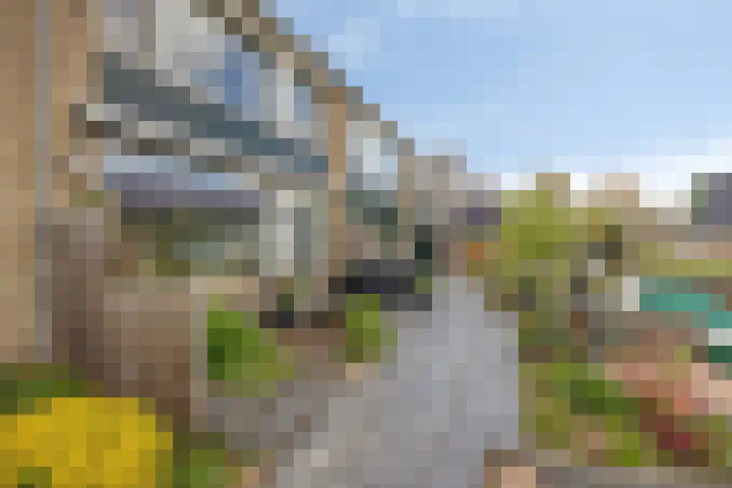 Hoge Rijndijk 191 Zoeterwoude thumbnail 37