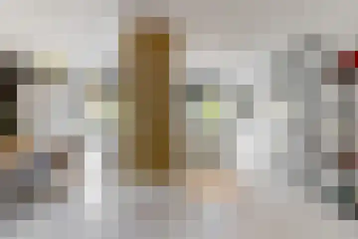 Hoge Rijndijk 20 A Zoeterwoude thumbnail 10