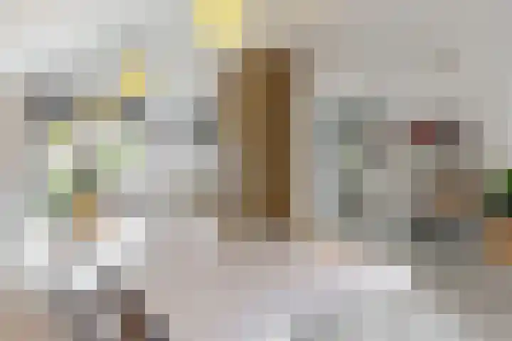 Hoge Rijndijk 20 A Zoeterwoude thumbnail 12