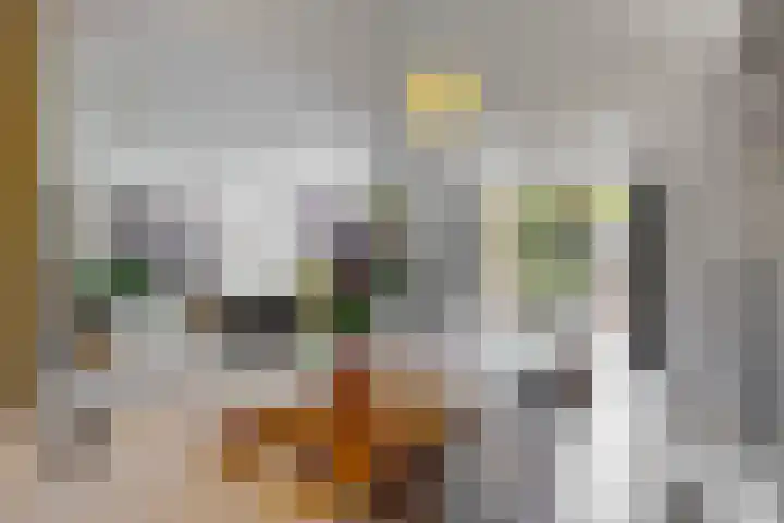 Hoge Rijndijk 20 A Zoeterwoude thumbnail 13