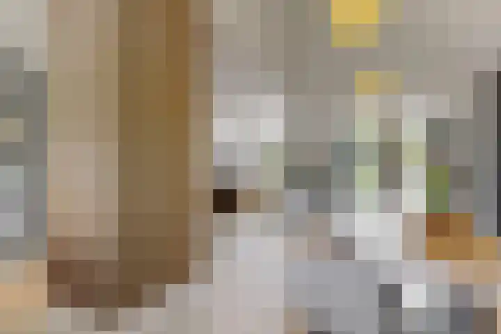 Hoge Rijndijk 20 A Zoeterwoude thumbnail 14