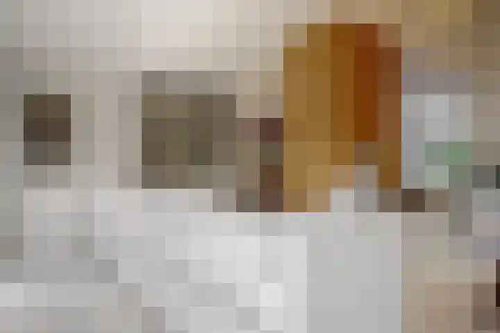 Hoge Rijndijk 20 A Zoeterwoude thumbnail 16