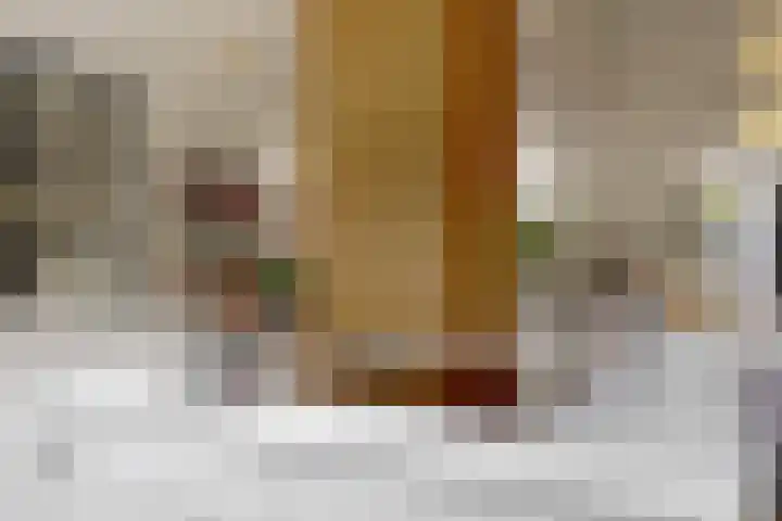 Hoge Rijndijk 20 A Zoeterwoude thumbnail 17
