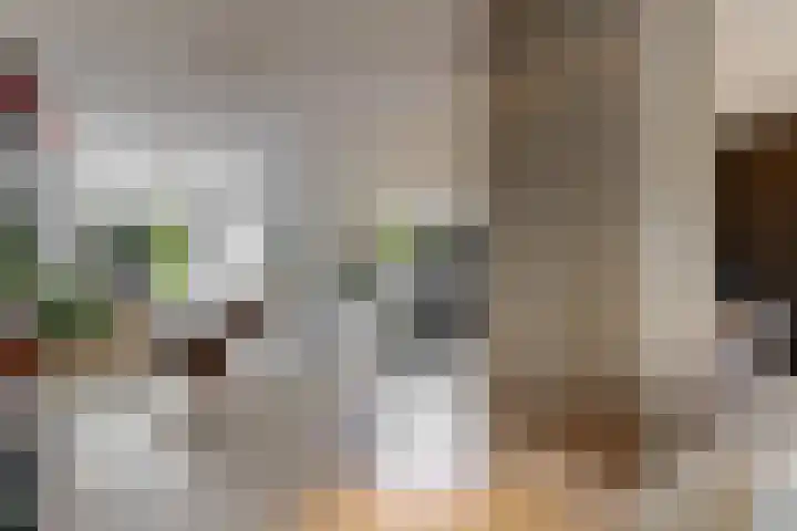 Hoge Rijndijk 20 A Zoeterwoude thumbnail 20
