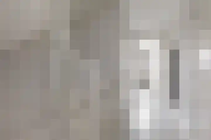 Hoge Rijndijk 20 A Zoeterwoude thumbnail 22