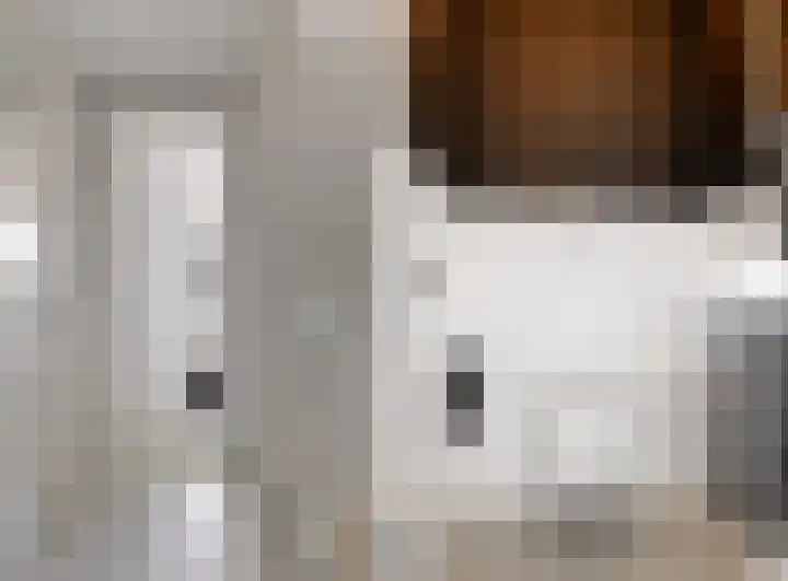 Hoge Rijndijk 20 A Zoeterwoude thumbnail 23