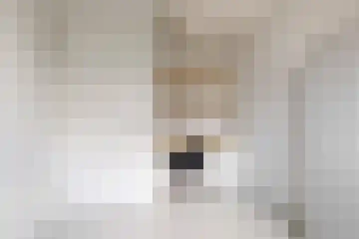 Hoge Rijndijk 20 A Zoeterwoude thumbnail 25