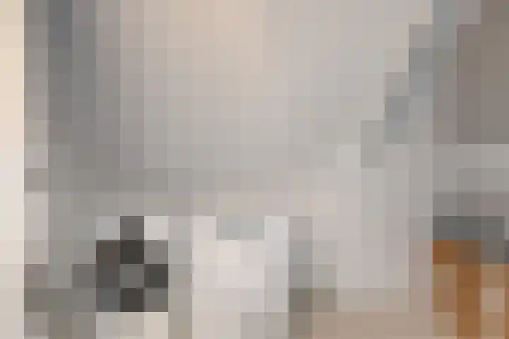 Hoge Rijndijk 20 A Zoeterwoude thumbnail 37