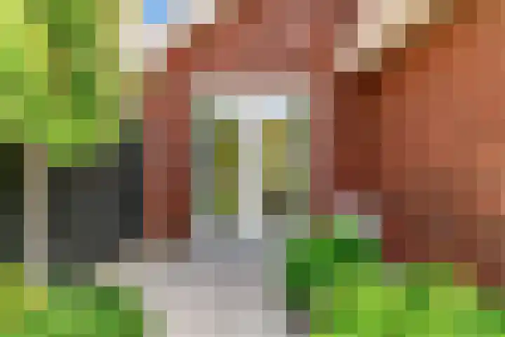 Hoge Rijndijk 20 A Zoeterwoude thumbnail 41