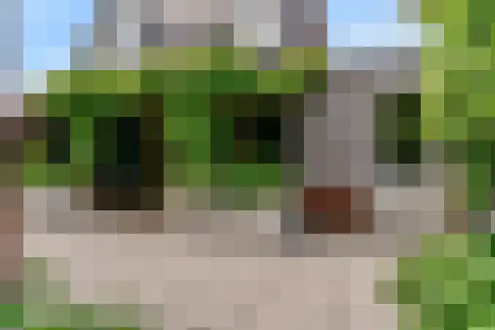 Hoge Rijndijk 20 A Zoeterwoude thumbnail 42