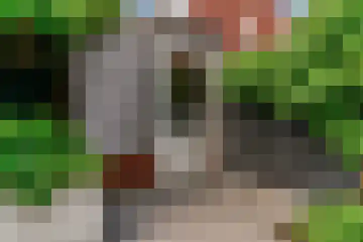 Hoge Rijndijk 20 A Zoeterwoude thumbnail 43