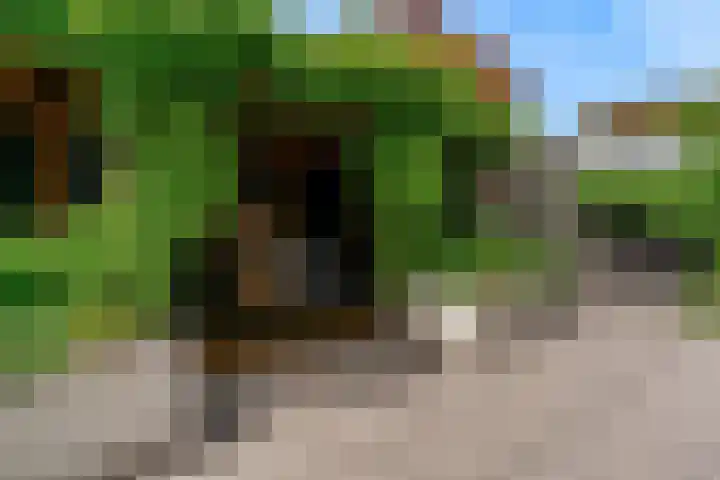 Hoge Rijndijk 20 A Zoeterwoude thumbnail 45