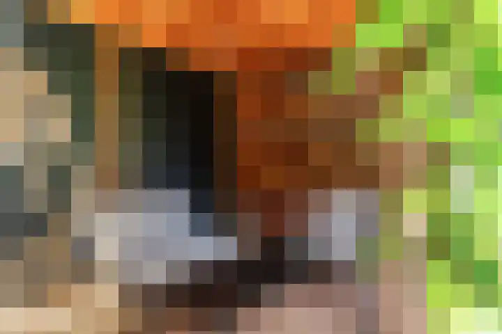 Hoge Rijndijk 20 A Zoeterwoude thumbnail 47