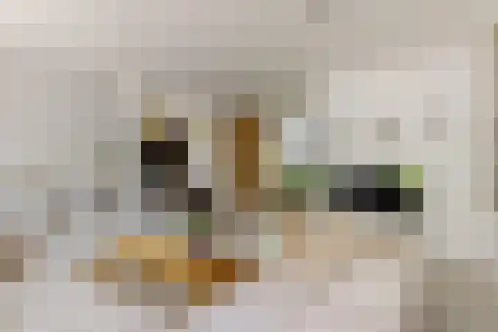 Hoge Rijndijk 20 A Zoeterwoude thumbnail 5