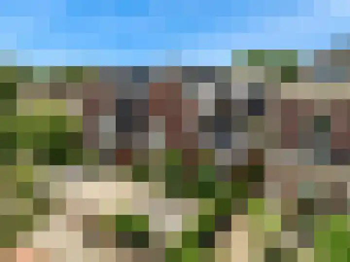 Hoge Rijndijk 20 A Zoeterwoude thumbnail 51