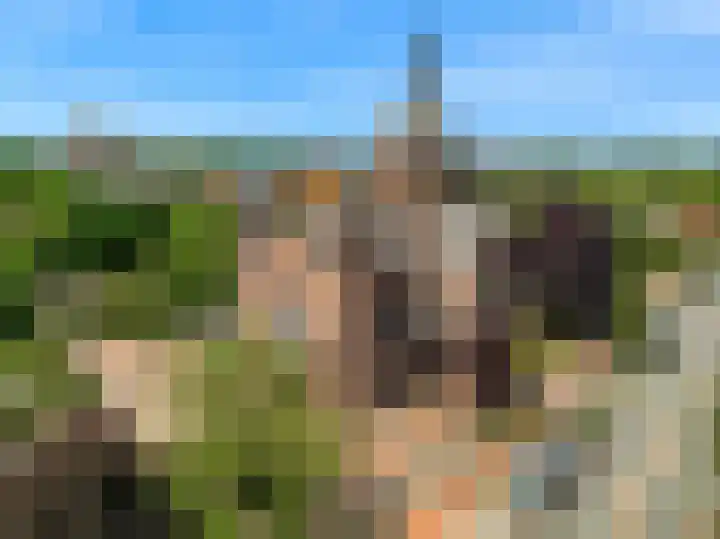 Hoge Rijndijk 20 A Zoeterwoude thumbnail 53