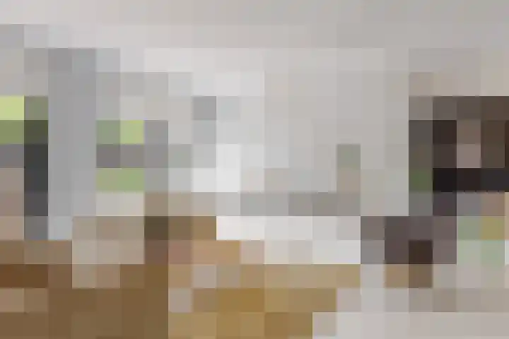Hoge Rijndijk 20 A Zoeterwoude thumbnail 7