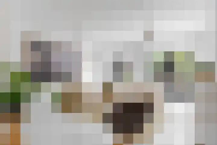 Hoge Rijndijk 20 A Zoeterwoude thumbnail 8