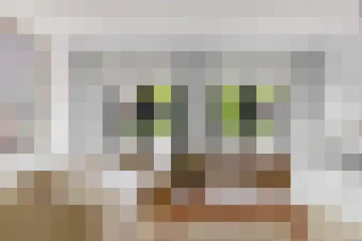 Hoge Rijndijk 20 A Zoeterwoude thumbnail 9