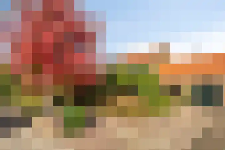 Hoge Rijndijk 21 Zoeterwoude