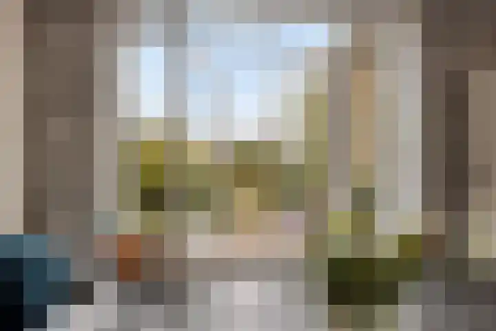 Hoge Rijndijk 21 Zoeterwoude thumbnail 10